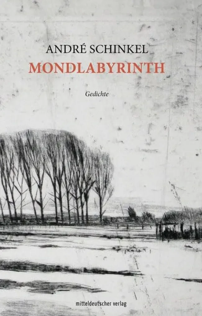 oda-cover-schinkel.png